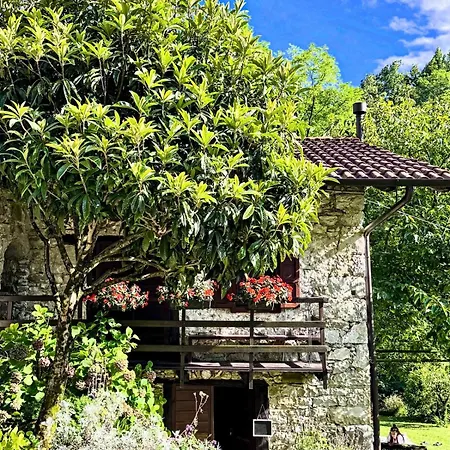Casa Del Sorriso Costa (Belluno)